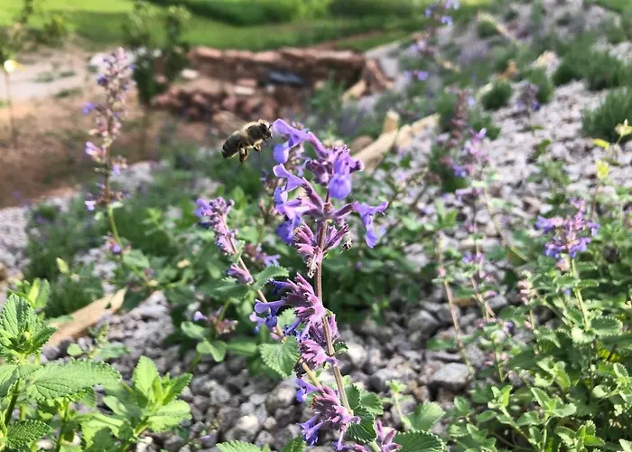 Honiggarten